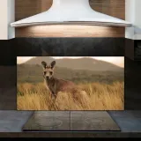 kangury-australia-120x60-panel-scienny-do-kuchni-stan-nowy