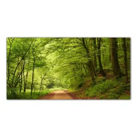 droga-las-drzewa-120x60-szklo-hartowane-do-kuchni