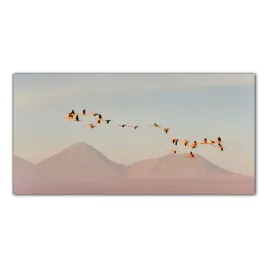 flaming-ptak-zwierze-120x60-kuchnia-panel-nad-blat
