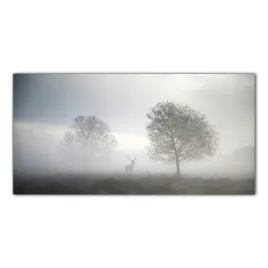 jelen-mgla-krajobraz-120x60-szklo-hartowane-panel