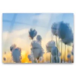 obraz-szklany-kwiaty-roslina-natura-foto-100x70