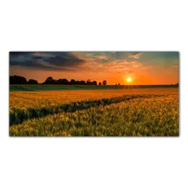pole-pszenicy-slonce-120x60-panele-szklo-hartowane