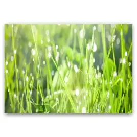 obraz-szklany-trawa-roslina-natura-grafika-100x70