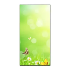 foto-obraz-scienny-grafika-50x100-cm-kwiaty-motyle