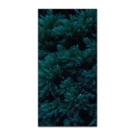 obrazy-szklane-do-kuchni-50x100-cm-drzewa-natura