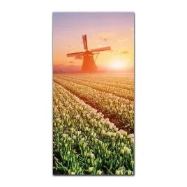 obraz-na-szkle-na-sciane-50x100-cm-tulipany-pole