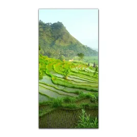 foto-na-szkle-grafika-50x100-cm-gory-pola-natura