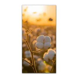 foto-obraz-na-szkle-na-sciane-50x100-pole-kwiatow
