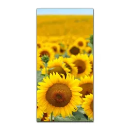 obrazy-szklane-do-kuchni-50x100-kwiat-slonecznik