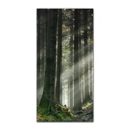 obraz-na-szkle-nowoczesny-50x100-las-mgla-natura