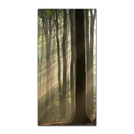 obraz-szklany-grafika-do-salonu-50x100-mglisty-las