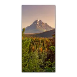 obraz-na-szkle-grafika-do-salonu-50x100-kanada-las