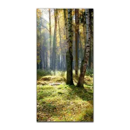 foto-obraz-na-szkle-na-sciane-50x100-cm-jesien-las