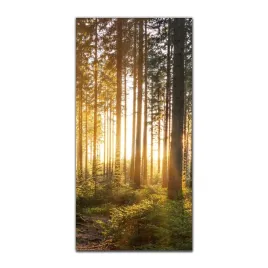 obraz-na-szkle-do-kuchni-50x100-wschod-slonca-las