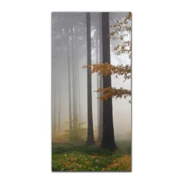 foto-obraz-na-szkle-na-sciane-50x100-natura-jesien
