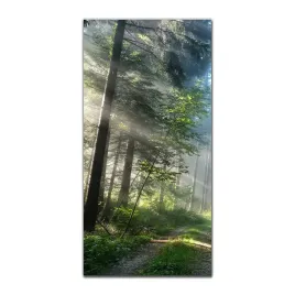 foto-obraz-na-szkle-na-sciane-50x100-cm-szlak-mgla