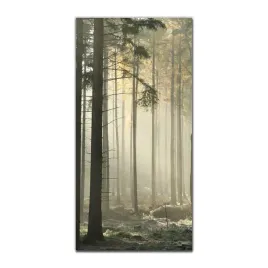 foto-obraz-na-szkle-do-kuchni-50x100-mgla-jesien