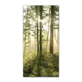 foto-obraz-na-szkle-do-kuchni-50x100-slonce-mgla
