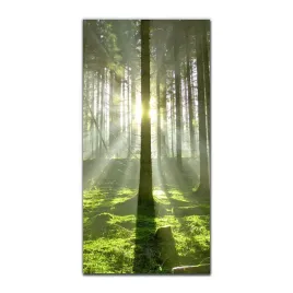 obraz-szklany-scienny-do-kuchni-50x100-las-slonce