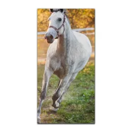 foto-obraz-na-szkle-nowoczesny-50x100-natura-kon