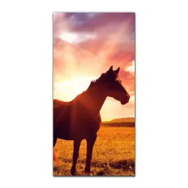 foto-obraz-na-szkle-do-kuchni-50x100-krajobraz-kon