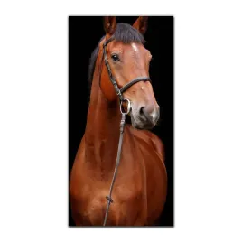 obraz-szklany-do-sypialni-50x100-portret-zwierze