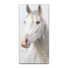 foto-obraz-scienny-grafika-50x100-bialy-ogier-kon