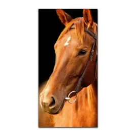 foto-obraz-scienny-grafika-50x100-cm-portret-kon
