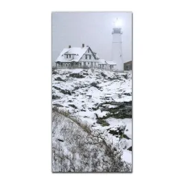 foto-obraz-szklany-do-salonu-50x100-portland-zima