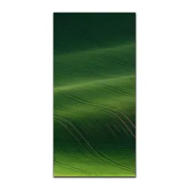 foto-obraz-na-szkle-na-sciane-50x100-wiosna-natura