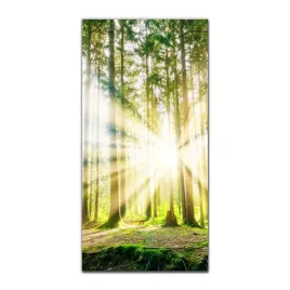foto-obraz-na-szkle-do-kuchni-50x100-przyroda-wies