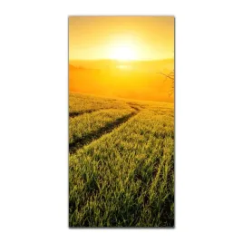 obraz-szklany-grafika-do-salonu-50x100-laka-natura