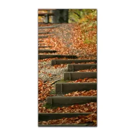 obraz-szklany-na-sciane-50x100-jesien-natura-las