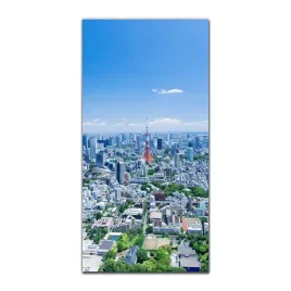 foto-obraz-na-szkle-na-sciane-50x100-wieza-tokio