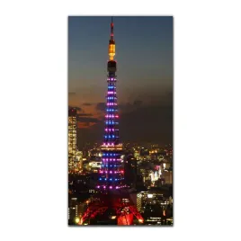 foto-obraz-scienny-grafika-50x100-noc-tokyo-tower