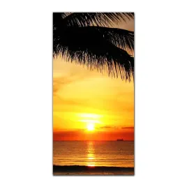 foto-obraz-szklany-do-salonu-50x100-floryda-ocean