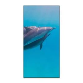 foto-obraz-scienny-grafika-50x100-delfin-zwierze
