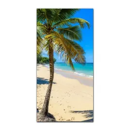 foto-obraz-na-szkle-do-kuchni-50x100-ocean-palmy