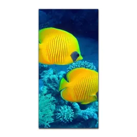 foto-obraz-scienny-grafika-50x100-tropikalne-ryby