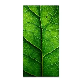 obraz-na-szkle-do-sypialni-50x100-natura-jesienia