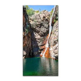 foto-obraz-na-szkle-do-kuchni-50x100-kakadu-natura