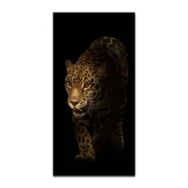 obraz-na-szkle-do-kuchni-50x100-jaguar-safari-noc