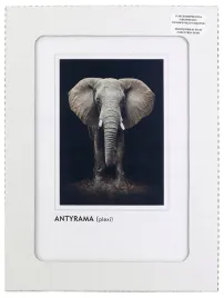 ramka-na-jedno-zdjecie-postergaleria-915-x-61cm