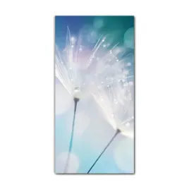 obraz-szklany-do-sypialni-70x140-cm-kwiat-mniszek