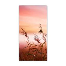 obraz-szklany-nowoczesny-70x140-cm-pole-mgla-laka