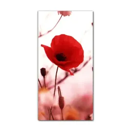 obraz-szklany-nowoczesny-70x140-maki-pole-przyroda