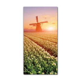 obraz-na-szkle-na-sciane-70x140-cm-tulipany-pole