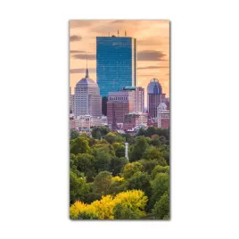 foto-obraz-do-sypialni-70x140-cm-usa-boston-natura