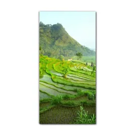 foto-na-szkle-grafika-70x140-cm-gory-pola-natura
