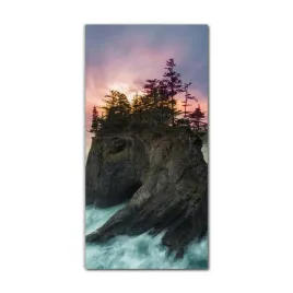 foto-szklane-na-sciane-70x140-morskie-fale-drzewa